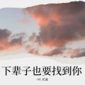 黎兴成 - 下辈子也要找到你 (remix: 张艾文) (Remix)