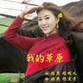 我的草原