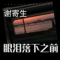 谢寄生 - 眼泪落下之前