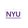 NYU undergraduate