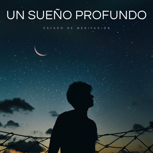 Musica para Dormir Radio、Reiki Armonía、Ruido de Meditación - Duerme Profundamente