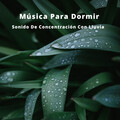 Sonidos De Lluvia y Tormentas、Fabricantes De Lluvia、Música De Relajación Para Dormir Profundamente - Música Ligera De Lluvia