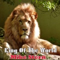 mike stern - My Best Life