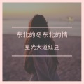 星光大道红豆 - 东北的冬东北的情