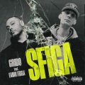 SFIGA (Explicit)