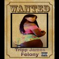 Tripp James - Felony (Explicit)