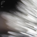Stefanie Kisamore、Martin Lobemeier、Mart Greenslade、Du Brae - Toll (feat. Stefanie Kisamore Martin Lobemeier & Mart Greenslade)