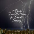 50 Gentle Rainfall Album for Spa & Serenity