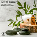 Mindfulness Meditation Music Spa Maestro - Mental and Emotional Relief