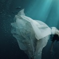 提拉小米 - The Way I Still Love You+枯木与海