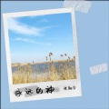 张翔宇 - 我