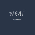 DJ汤姆喵 - WHAT (乐鼓DJ)