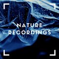 Natural Sample Makers、Nature Recordings、Natural Sound Makers - Sweet Bliss