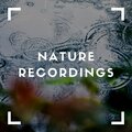 Natural Sample Makers、Nature Recordings、Natural Sound Makers - Natures Groove