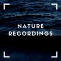 Natural Sample Makers、Nature Recordings、Natural Sound Makers - Natural Mixes