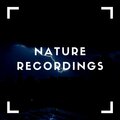 Natural Sample Makers、Nature Recordings、Natural Sound Makers - Natural Mix