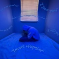 Mixed Emotions (Mixtape) [Explicit]