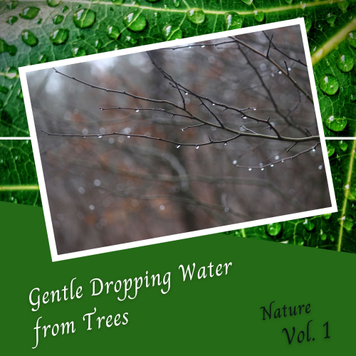 Nature Sound Series、Hi Freq Samples、Relaxing Spa Music - Reiki Tranquillity