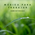 Musica Para Leer、Sonido Del Bosque y Naturaleza、Música relajante con sonidos de la naturaleza - Aves Felices