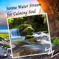 Outdoor Field Recorders、Nature Recordings、Natural Sound Makers - Serene Water Stream for Calming Soul - 2 Hours