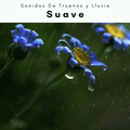 Sonidos De Truenos y Lluvia - Duerme con Tranquilo Ruido de Agua Calma