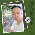 小海哥 - 爱情是酒也是泪