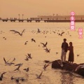 边缘人 - 今生最爱 (DJ版)
