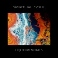Liquid Memories