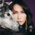 工藤静香 - めちゃくちゃに泣いてしまいたい