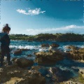 Lie Plan Pace - Tropicalian
