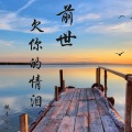 铁木冰冰 - 前世欠你的情泪