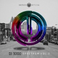 DJ 3000 - Chasing the Blues