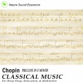 Chopin - Prelude In E Minor
