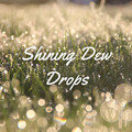 Water Sound Natural White Noise、Nature Recordings、Nature Ambience - Rain Shower Morning