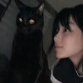 dyingoutlay、fadewtf - Perfect Vision