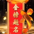 李涛 - 前程似锦