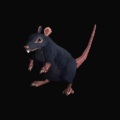deLinkquents、724x、Denver - RATS