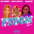 PTDOM (Explicit)