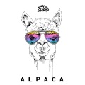 White Shrts、Vasco Boni、Vincenzo Cantore - Alpaca