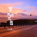 安儿陈 - 岁月的风霜