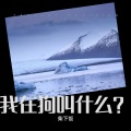 柴下饭 - 先说谎的人