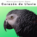1 Corazón de Lluvia