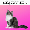 2022 Relajante Lluvia