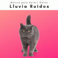 Música para dormir Gatos - Ruidos de Tormenta Relajante para Dormir