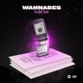 Wannabes (Explicit)