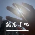 A-Lin - 天若有情 (DJ嗨森版)