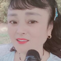 程红 - 我的情深你若懂