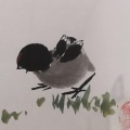 图儿图儿图 - The Baby Song