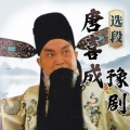 Unknown Singer - 风吹扬花雪