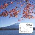 燕子 - 一生爱你千百回